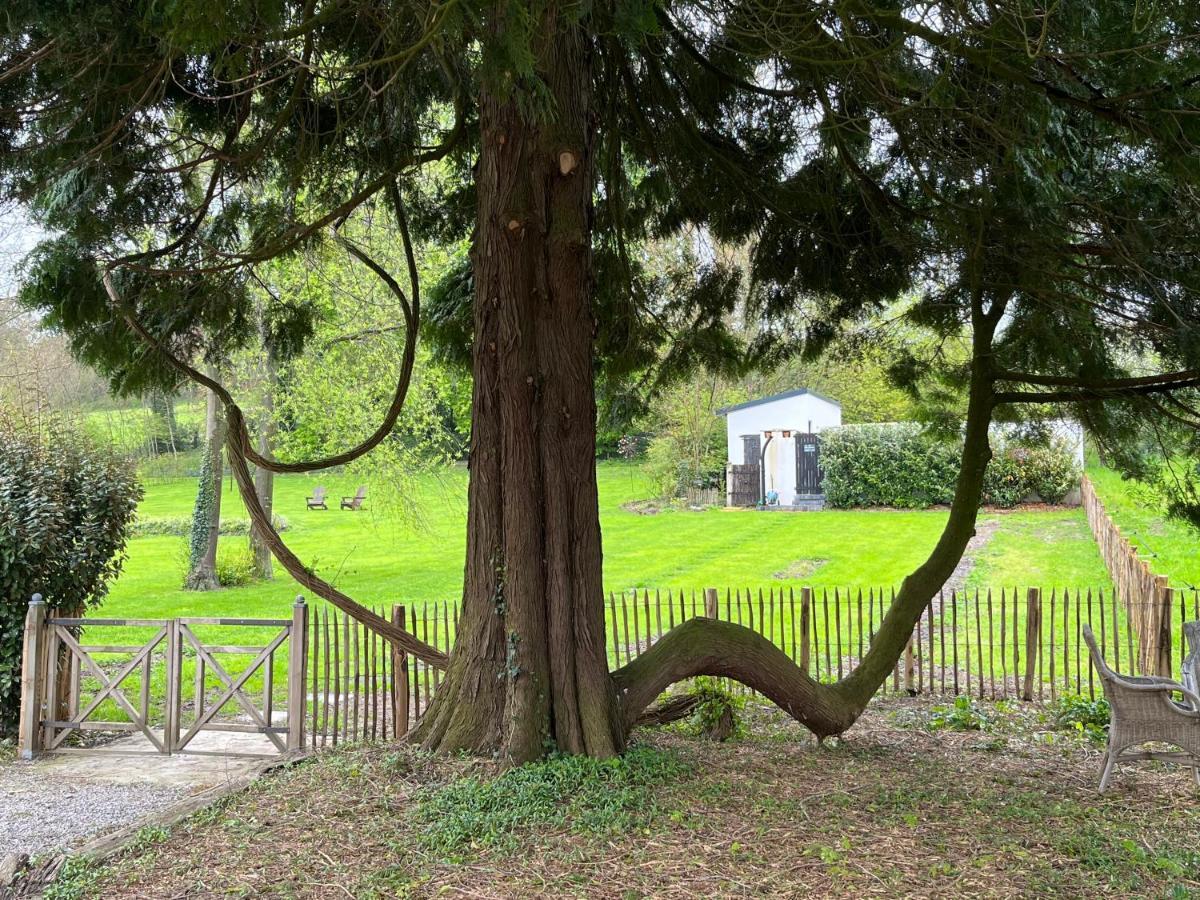 Domaine De La Course Bed & Breakfast Doudeauville Екстериор снимка
